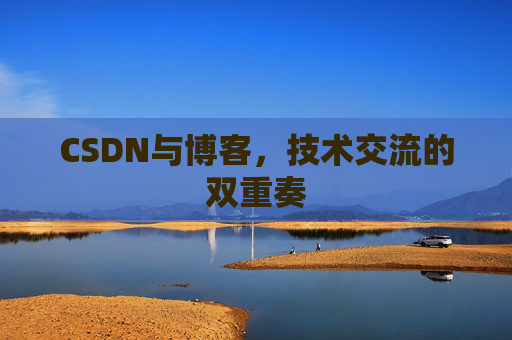 CSDN与博客，技术交流的双重奏